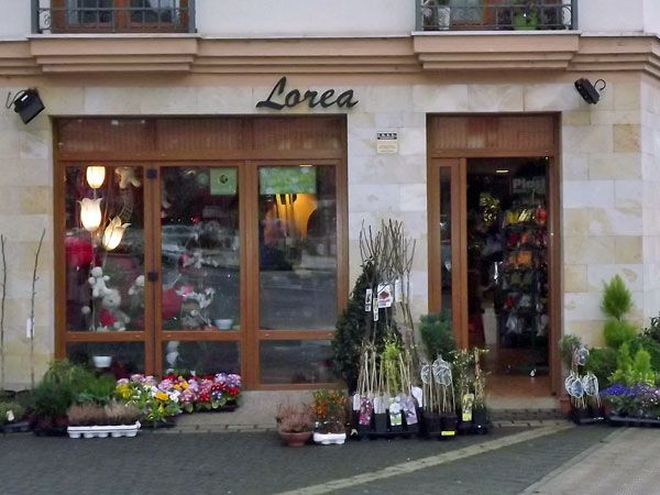 Floristería Lorea
